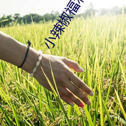 918博天堂·(中国)手机版客户端