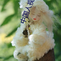中国人视频HD