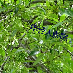 九游会登录j9入口 - 中国官方网站 | 真人游戏第一品牌