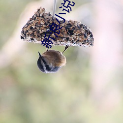 金年会(中国)官方网站