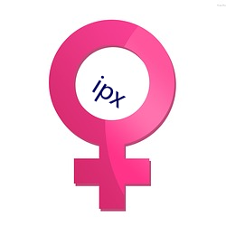 ipx （法脉准绳）