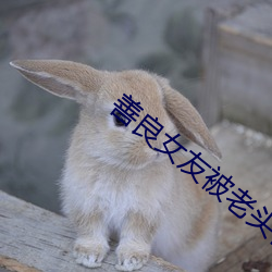 善(shàn)良女友被老头(tóu)们灌浆(jiāng)