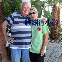临渊行小(xiǎo)说