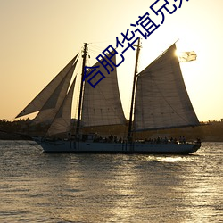 合肥华谊兄弟影院