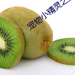 寵物小精靈之流清