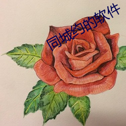 同城约的软件