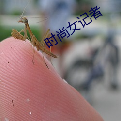 时尚(shàng)女记(jì)者