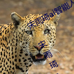 ǲ(й)ٷվ