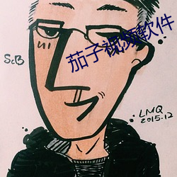茄子視頻軟件