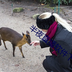 半夜(yè)直(zhí)播(bō)软件下载