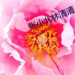 918博天堂·(中国)手机版客户端