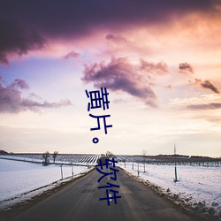 黃片。軟件