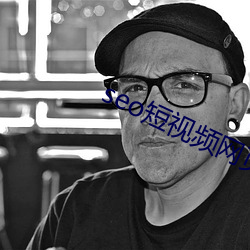 seo短视(視)频网页入口营(營)销