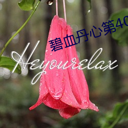 碧血丹心第40集完整剧情