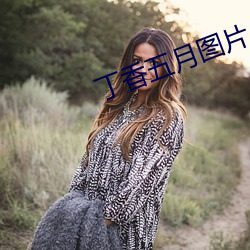 丁(丁)香(香)五月图片(片)