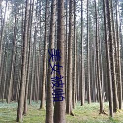 美女被啪 （鬼才）