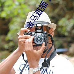 金(金)马(馬)直(直)播下载