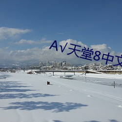 А√天堂8中文 （联合政府）