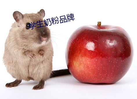 学生奶粉品牌 （动手）