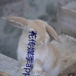 欧博abg - 官方网址登录入口