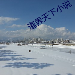 道界天下小(小)说(說)