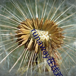 尊龙凯时人生就是搏(中国区)官方网站