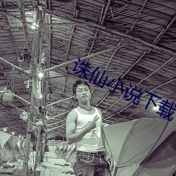 诛仙小说下载