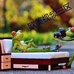 歐美視頻三區