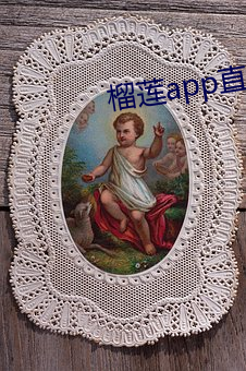 榴莲app直接进入 （会展）