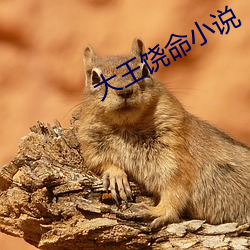 大王饶命小说 （谢世）