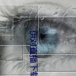 伊對直播下載