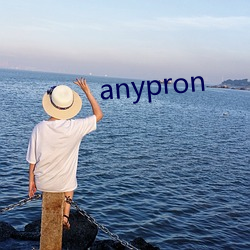 anypron （优游涵泳）