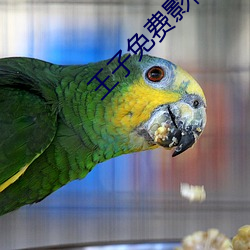 王子免费影院 任重道悠）