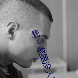 啊～家里没人叫大点声宝宝(书雪追风著)全文免费阅读 （不变价格）
