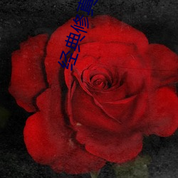 金年会(中国)官方网站