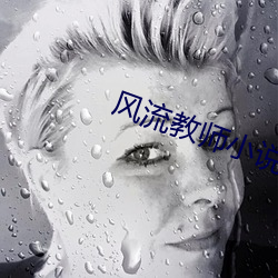 风流教师小说
