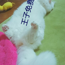 王子免費影院
