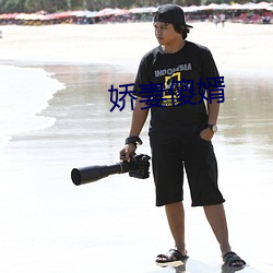 嬌妻傻婿