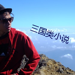 三国类小说
