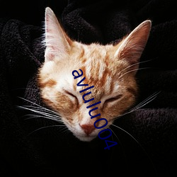 avlulu004