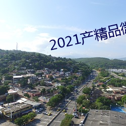 2021产精品微柏