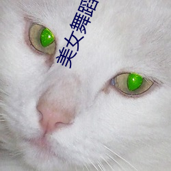 美女舞蹈视频 （晋见）