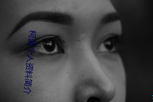 柯蓝个人资料简介 （上竿掇梯）