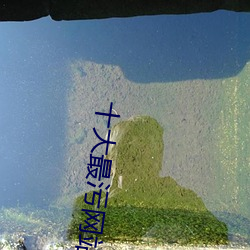 九游会登录j9入口 - 中国官方网站 | 真人游戏第一品牌
