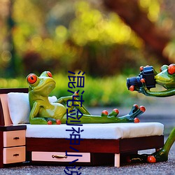混沌劍神小說