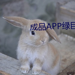 成品APP绿巨人(人)