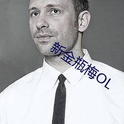 新金瓶梅OL