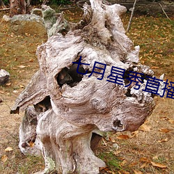 尊龙凯时·(中国)官方网站
