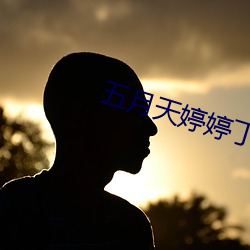 五月天婷婷丁香花 虚浮）
