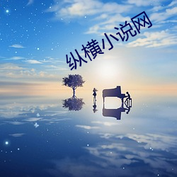 纵横(橫)小说网
